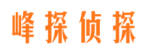 惠东市侦探调查公司